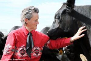Temple Grandin: bienestar animal