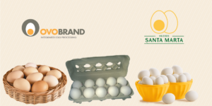 Huevos cage free: Huevos Santa Marta, Ovo Brand