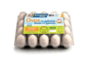 20 Ovos Tipo Extra Branco