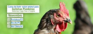 Curso bem-estar animal para galinhas poedeiras