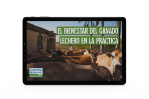 Libro electrónico sobre el bienestar de los bovinos lecheros en la práctica