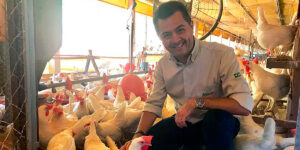 Korin las gallinas libres de jaulas ganan terreno en la pandemia