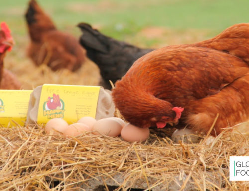 Nueva plataforma facilita el seguimiento de buenas prácticas en las empresas para el uso de huevos de gallinas libres de jaulas