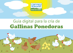 Guía digital para la crianza de gallinas ponedoras