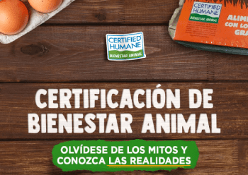 Certificación de Bienestar Animal Olvídese de los Mitos y Conozca las Realidades