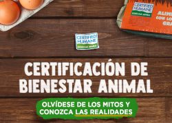 Certificación de Bienestar Animal Olvídese de los Mitos y Conozca las Realidades