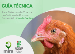 Guía Técnica para sistemas de crianza de gallinas de postura comercial libre de jaulas